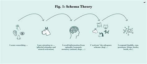 Piaget's Schematic Development Theory Piaget Schema Theory I