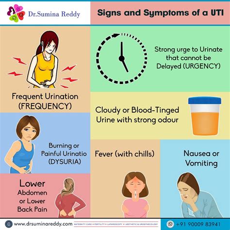 uti symptoms - DrBeckmann