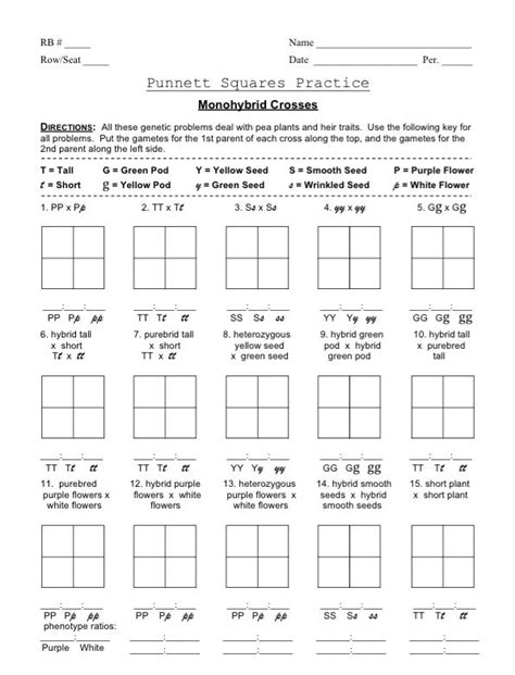 Genetic Disorder Punnett Square Worksheet