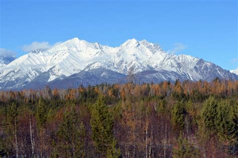 Fall Deep in Russia, Snowy Mountains Stock Image - Image of autumn ...