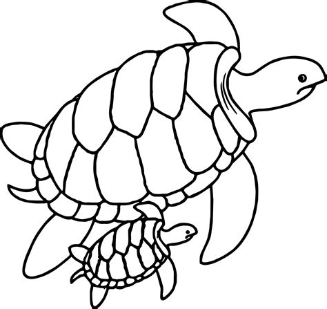 Baby Sea Turtle Drawing at GetDrawings | Free download