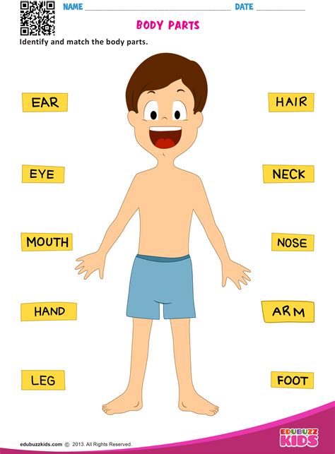 Positive Body Image Activities For Kids