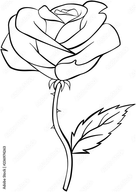 White Rose Outline With Black Background