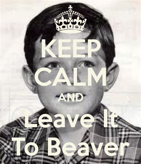 Pin by ☪Ⓡaiℊ. ℂ on Keep Calm | Leave it to beaver, Keep calm, Keep calm ...