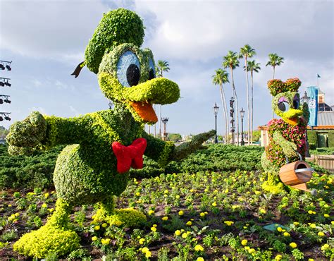 Kermit and Miss Piggy Topiaries at Epcot International Flower & Garden ...