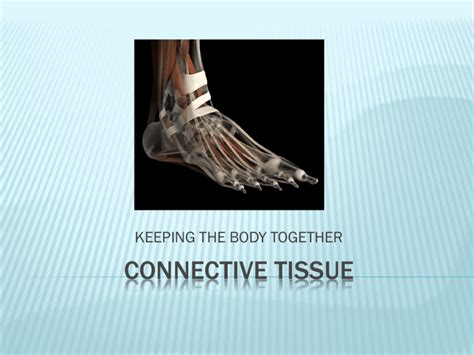 Connective tissue