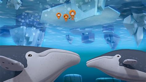 Octonauts Blue Whale