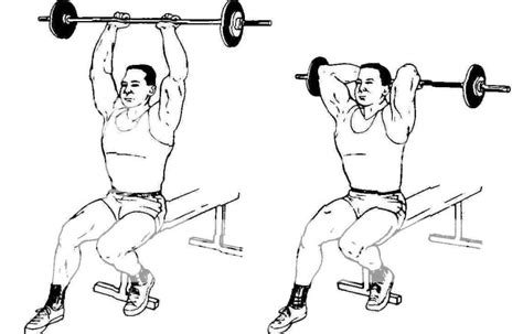 Basic Exercises - French Press - World Bodybuilding