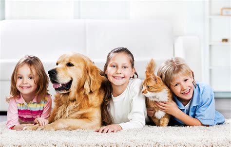 Meadowrun Affordable Pet Care – Part of the Family of Sarasota ...