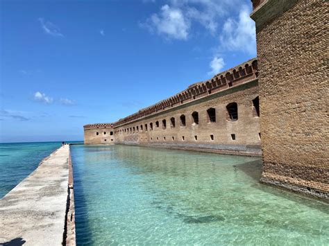 Dry Tortugas Snorkeling: What You Need to Know - Amber Likes