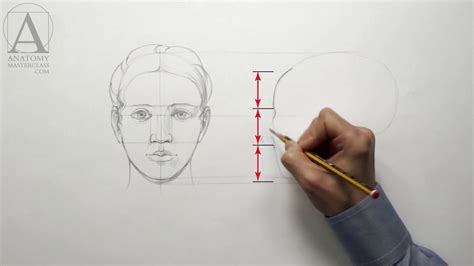 Human Head Proportions - Anatomy Master Class for figurative artists - YouTube