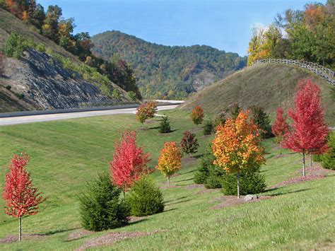 Best Scenic Drives in Northeast Tennessee – USA Raft Adventure Resort