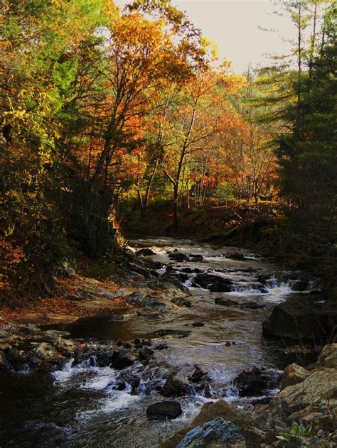 New River Trail State Park, VA | Appalachia | Pinterest | State parks ...