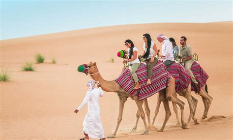 Camel Safari Tour Package | Desert Safari Tours in Rajasthan