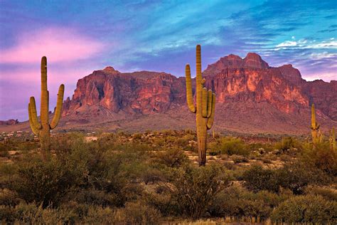 The Sonoran Desert - WorldAtlas