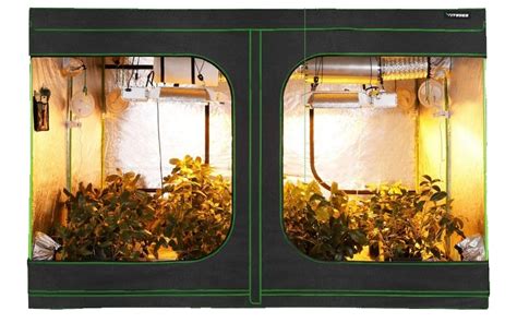 Best Grow Tent Setup Guide | Build the Perfect Indoor Grow Tent