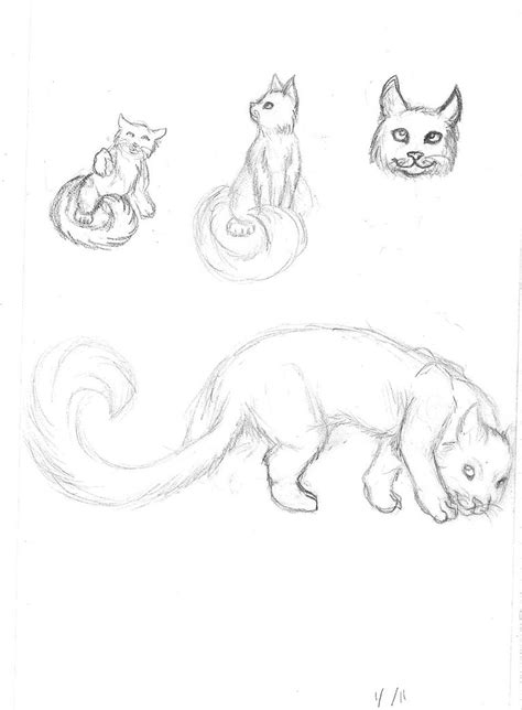 Cat Tail Drawing at PaintingValley.com | Explore collection of Cat Tail ...