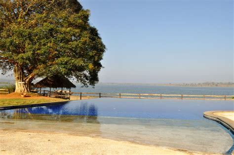 All you need to know about Kabini Resorts - WorthvieW