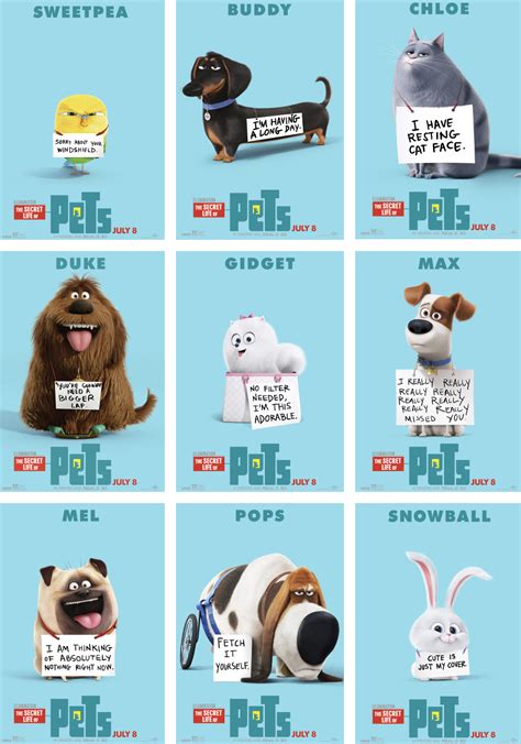 "Secret Life of Pets" Gets Adorable Character Posters - College Movie ...