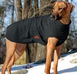 Dog Coats For Large Dogs - More Than A Fashion Statement