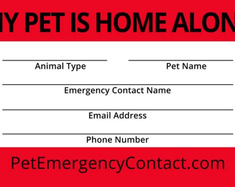 Pet Emergency Contact