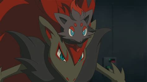 Image - Zoroark and Zorua.png - The Pokémon Wiki