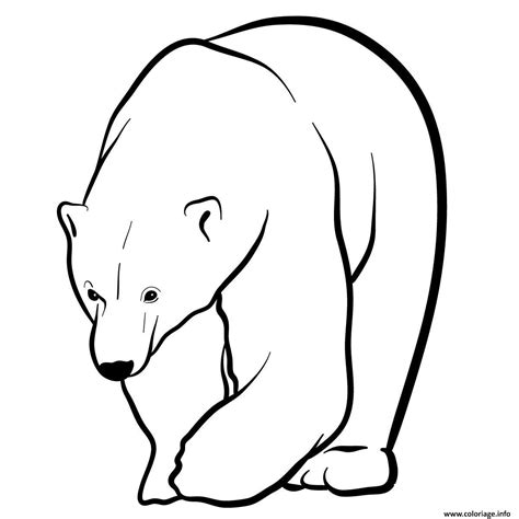 Coloriage Polar bear - JeColorie.com