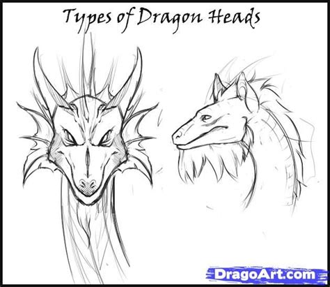 Cool Dragon Heads Front