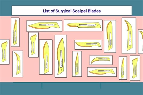 List Of Surgical Scalpel Blades – Types Sizes, Uses –, 53% OFF