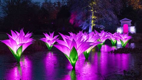 Fort Worth Botanical Garden ‘Lightscape’ opens with 1 million lights on ...