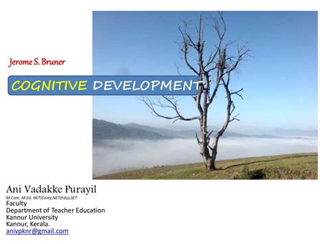 Cognitive development jerome s bruner