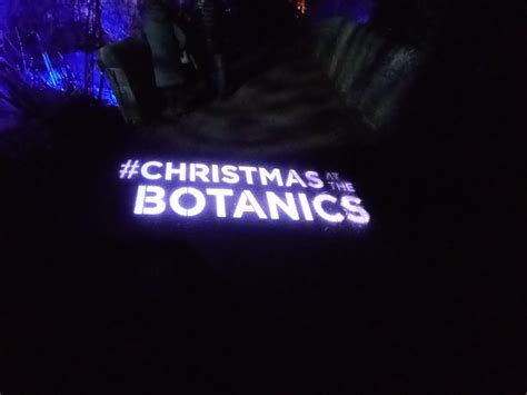 Christmas at the Botanics - Edinburgh Collected