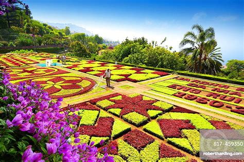 The Madeira Botanical Garden, Funchal, Madeira, Portugal. | Travel tree ...