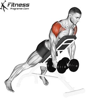 How To Do Dumbbell Reverse Fly - Benefits, Muscles Worked