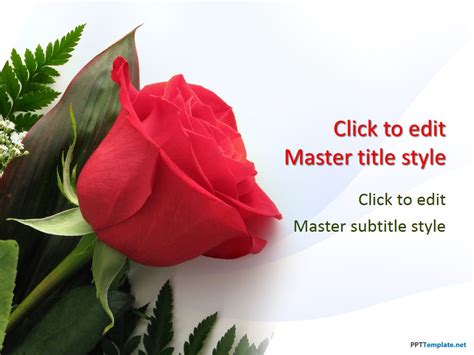 Free Rose Flowers PPT Template