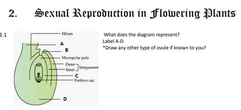 Plant Reproduction Diagram