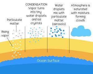 What does Condensation mean in the Water Cycle? – Eschooltoday