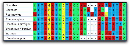 Sequence Alignment - Software and Links for DNA Sequence Alignment