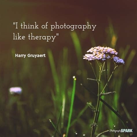 23 Most Famous & Inspirational Photography Quotes