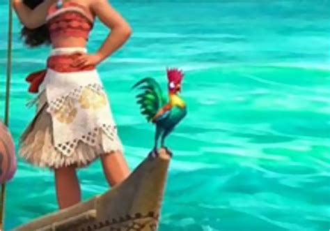 Someone Asked Why Disney Dumbed Down Moana’s Rooster And One Tumblr ...