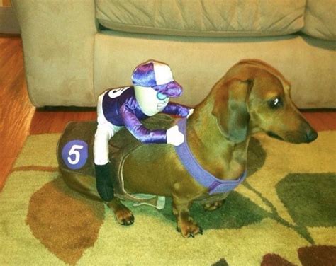 Wiener Dogs in Halloween costumes — that’s one of our favorite things ...