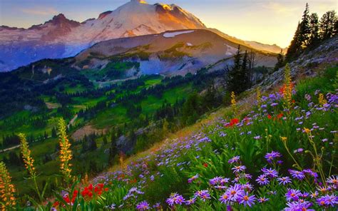 Mount Rainier National Park, Mount Rainier - 1280x800 - Download HD ...