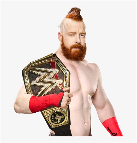 Custom Sheamus WWE Champion PNG By DecentRenderz On, 52% OFF