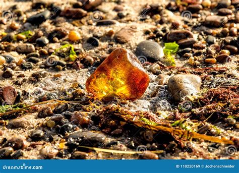 Amber on a Beach of the Baltic Sea Stock Image - Image of stone ...