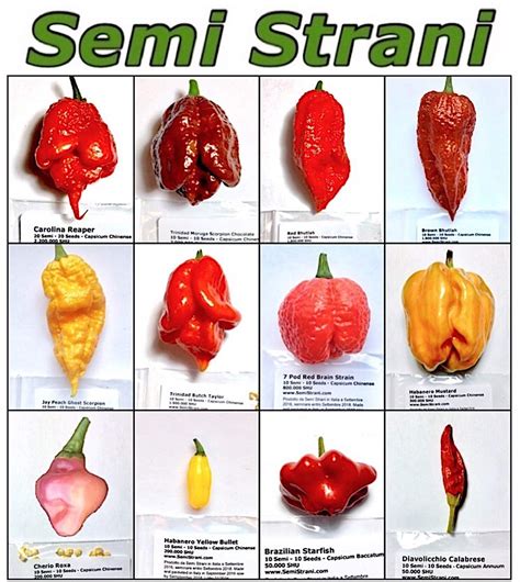 Buy 120 Pure in 12 Varieties of The Best and Hottest Worlds CHILI ...