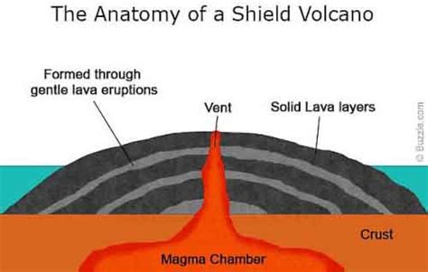 Shield Volcano Examples