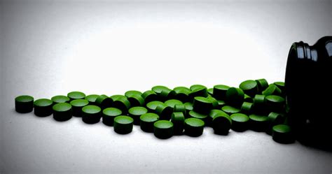 10 Major Benefits of Sun Chlorella - Trish's treasure trove of ...