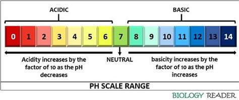 What is pH Scale? Definition, Range & Examples - Biology Reader