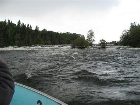 Pictures of Northern Saskatchewan Wildlife