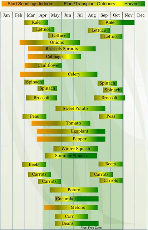 Fall Gardening Zone 7b | Fasci Garden